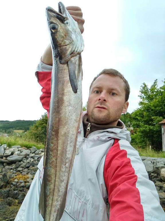 Holiday Home Kvernesfjorden Steinsgrenda المظهر الخارجي الصورة