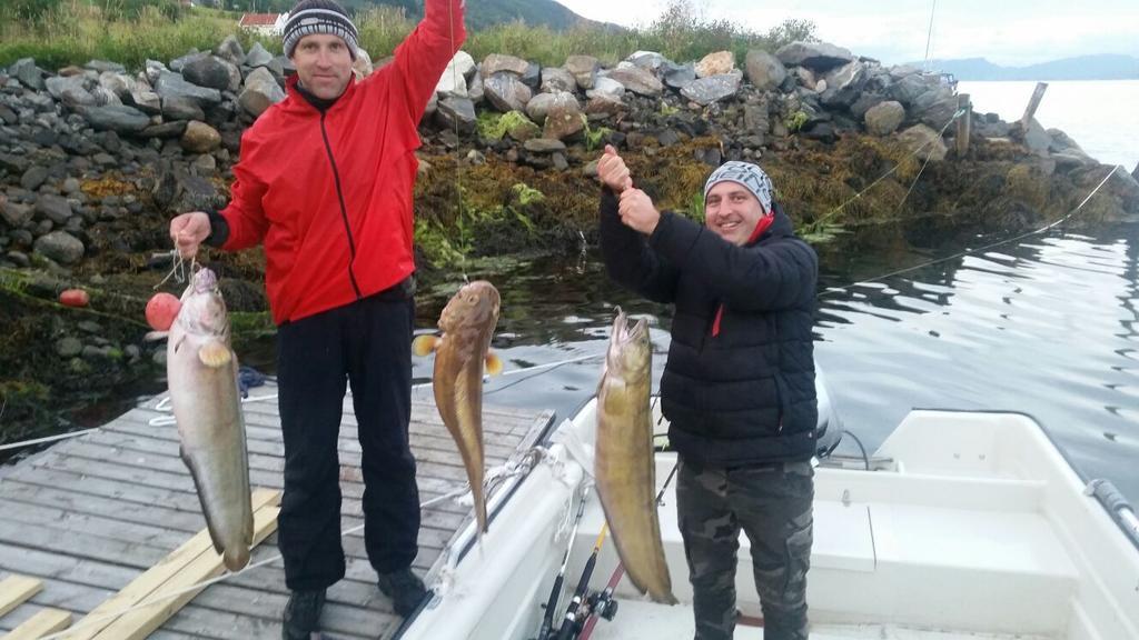 Holiday Home Kvernesfjorden Steinsgrenda المظهر الخارجي الصورة